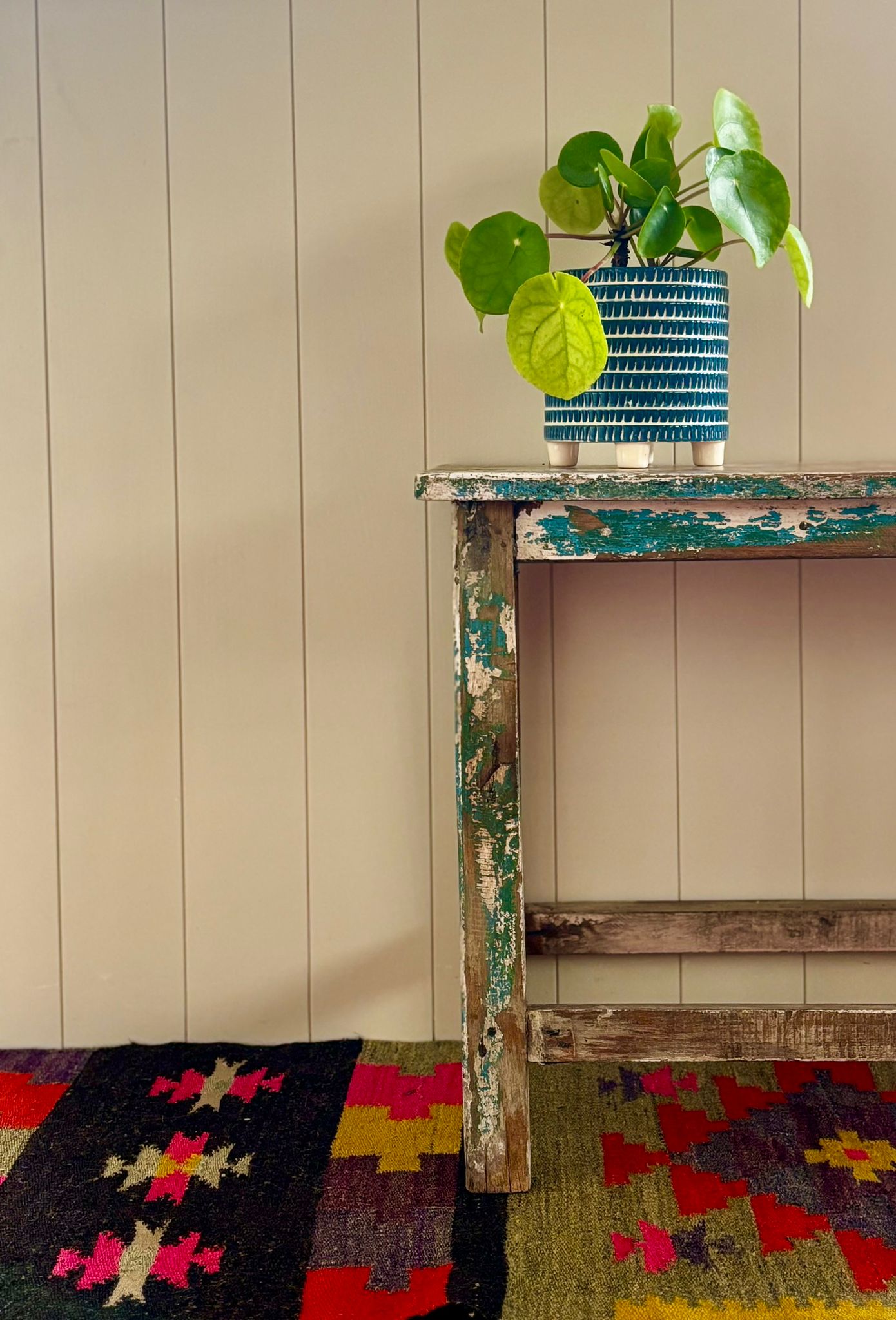 Houseplant in a striped blue ceramic pot resting on a weathered vintage wooden bench above a vibrant kilim rug